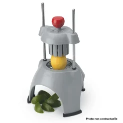 Lame de Rechange Diviseur à Tomates et Agrumes 8 Quartiers - Pujadas