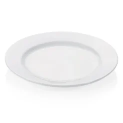 Lot de 6 Assiettes en Porcelaine 270 mm 2 - Was Germany