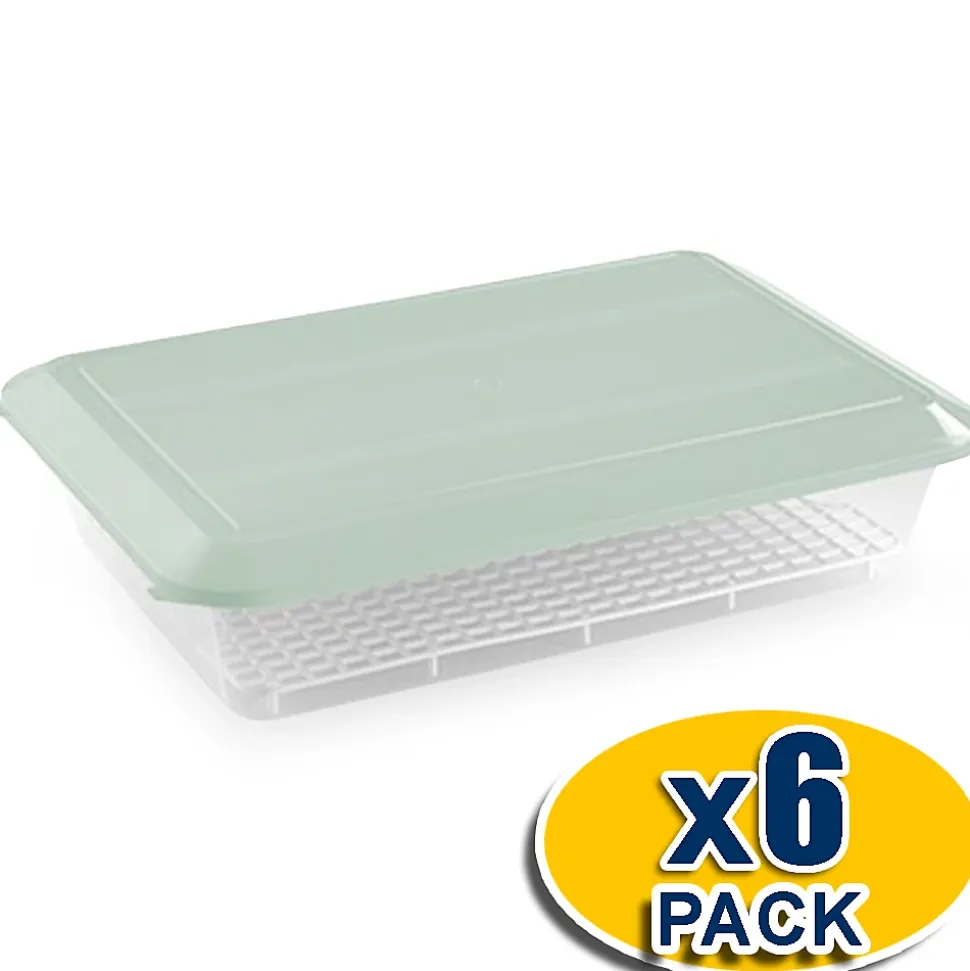 Lot de 6 bacs de décongélation 4,2 L (couvercle vert) - Hôtellerie, restauration, cuisines, salles à manger... Sans BPA