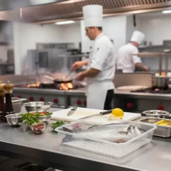 Lot de 3 Bacs de décongélation avec grille de 4,2 L. Restaurants, hôtels, cuisines... Sans BPA