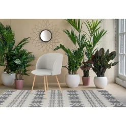 Lot de 2 Chaises Déco 