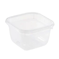 Lot de 6 Petites Boîtes de conservation congélation 90 ml