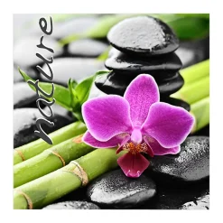 Lot de 20 serviettes papier nature