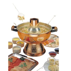 Marmite à fondue chinoise 1200w Ttm 16115