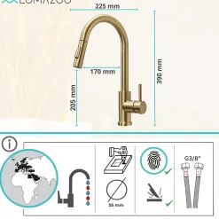 Mitigeur Cuisine avec Douchette Doré LOMAZOO Sphinx