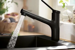 Mitigeur de cuisine avec douchette noir mat Hansgrohe Zesis M33 H. 219mm