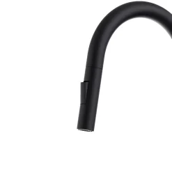 Mitigeur de cuisine noir avec douchette Essebagno Iconic