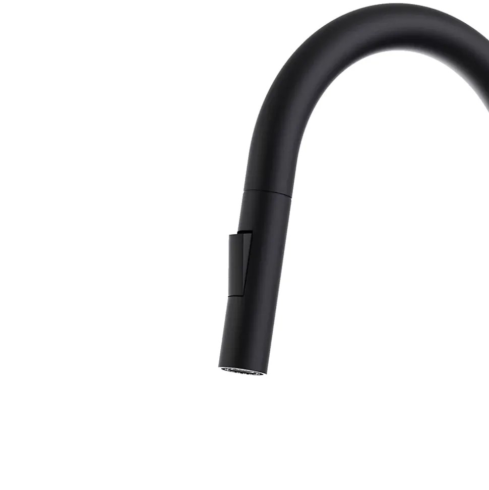 Mitigeur de cuisine noir avec douchette Essebagno Iconic