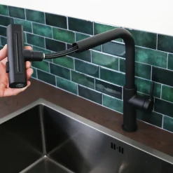 Mitigeur évier à douchette extractible noir mat Essebagno Esserain