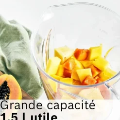 Mixeur - BOSCH - VitaPower/MMB614GO - Revêtement noir