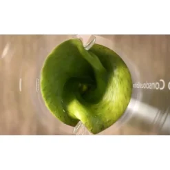 Mixeur 1,5l blanc Philips HR2500-00 série 5000