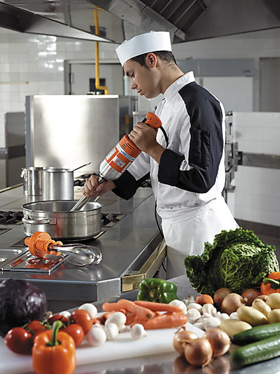 Mixeur Plongeant Professionnel Senior MX 300 - Dynamic