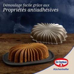Moule à gâteaux ovale 27,5 x 16 cm Dr.Oetker Back-Kunst