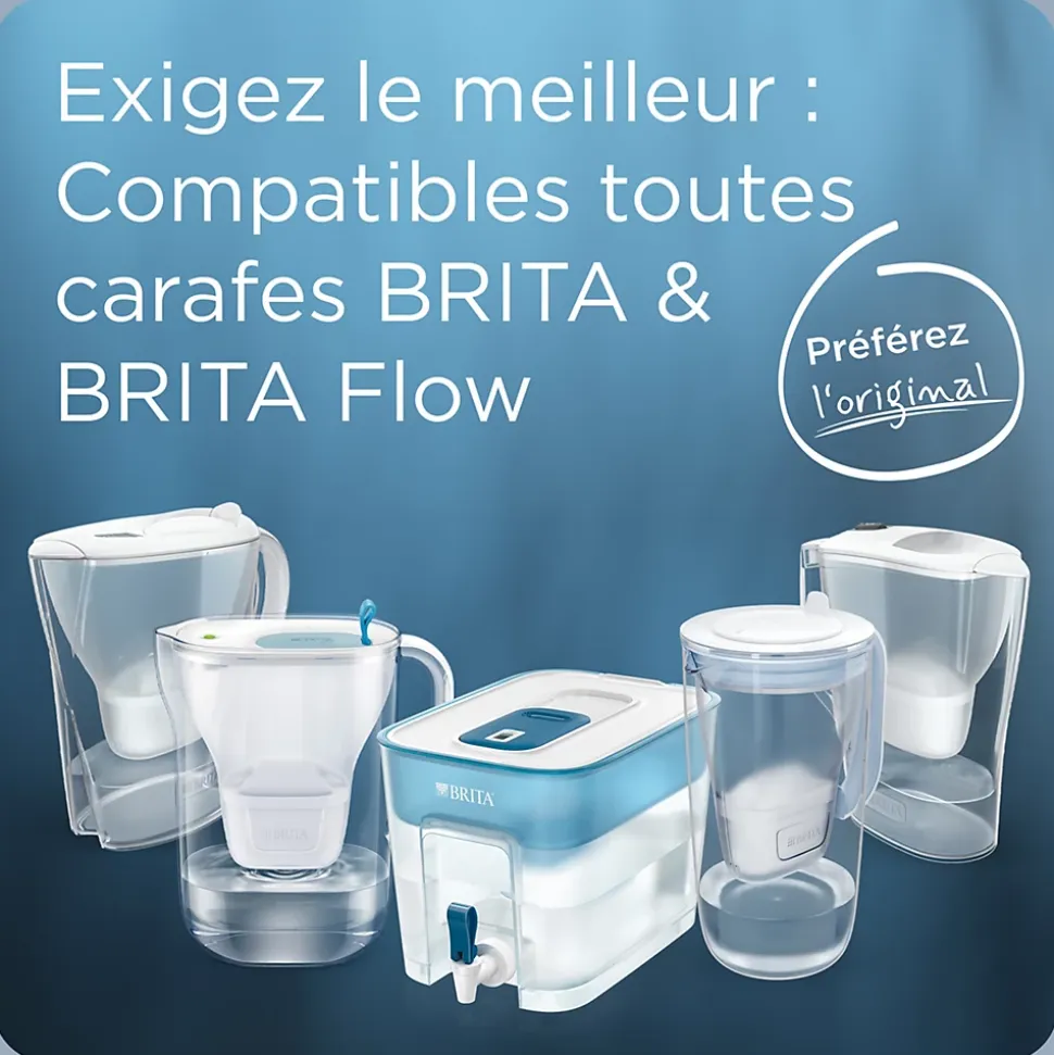 Pack de 2 cartouches filtrantes Brita Maxtra Pro All-In-1