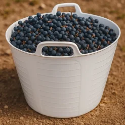 Panier alimentaire flexible avec poignée renforcée (Blanc, 42 L) - Sans BPA. Restaurants, chambres froides, vendanges