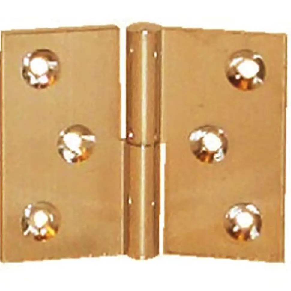 Paumelle laiton poli en 30x40mm gauche nœud de 6mm axe acier - PO3240S10