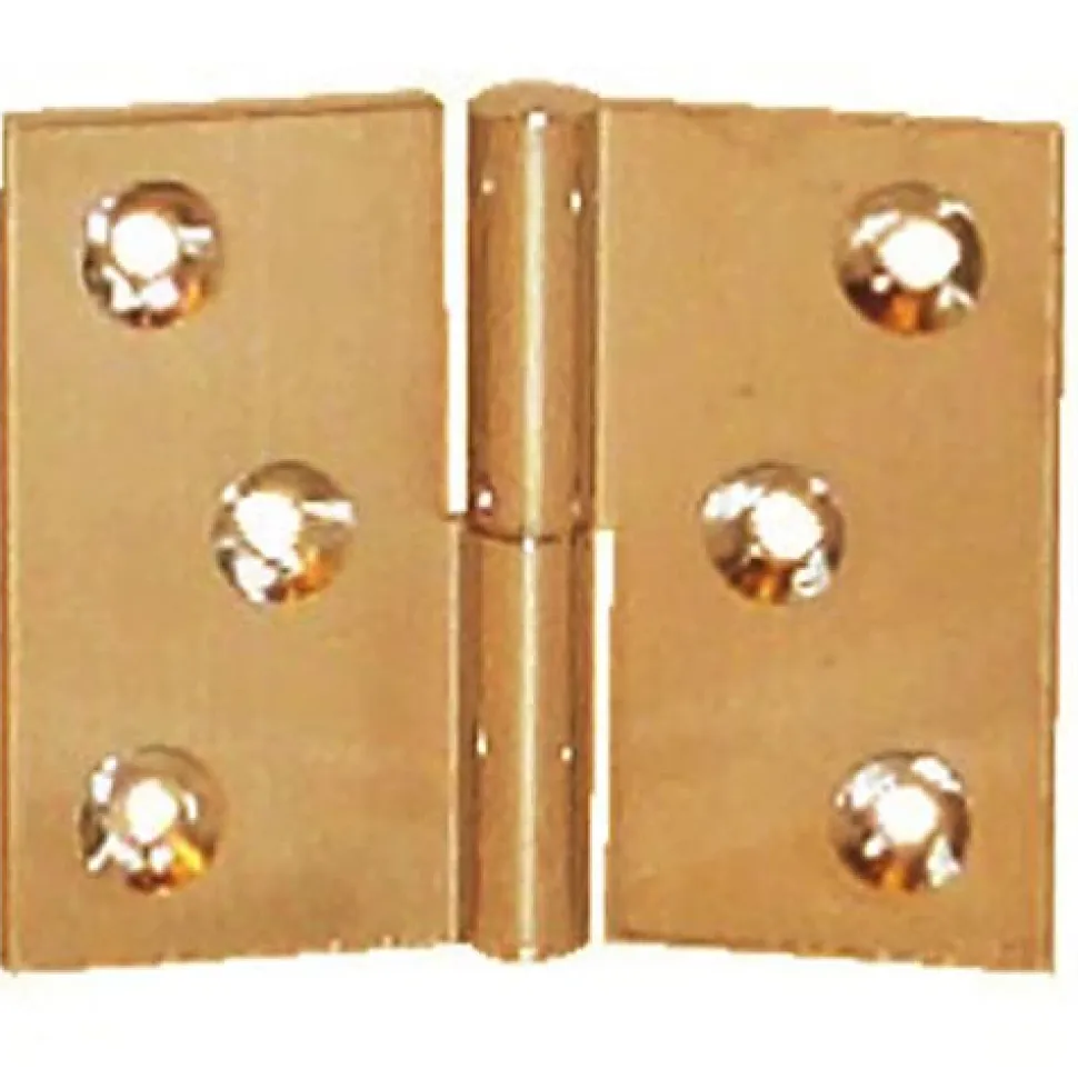 Paumelle laiton poli en 30x40mm gauche nœud de 6mm axe acier - PO3240S10