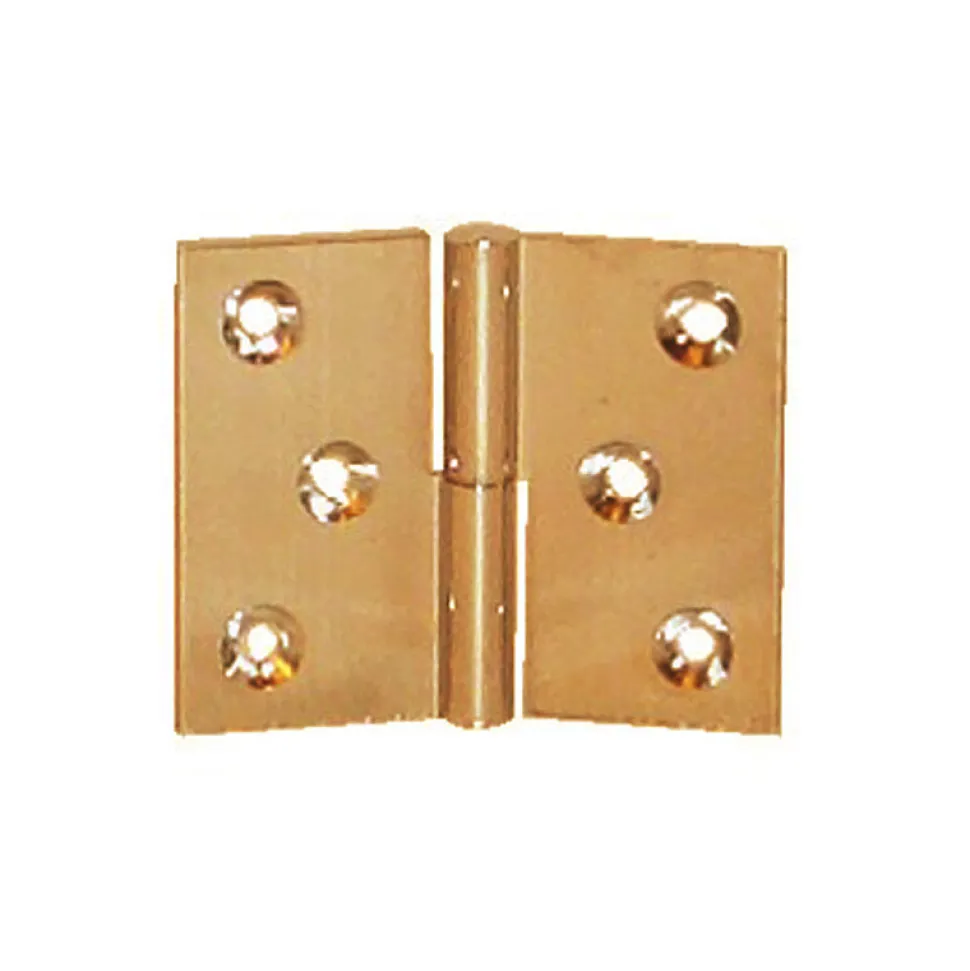 Paumelle laiton poli 40x50mm gauche nœud de 6mm axe acier - PO4250S10