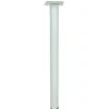 Pied de meuble Diall H. 100 mm x ø 30 mm blanc
