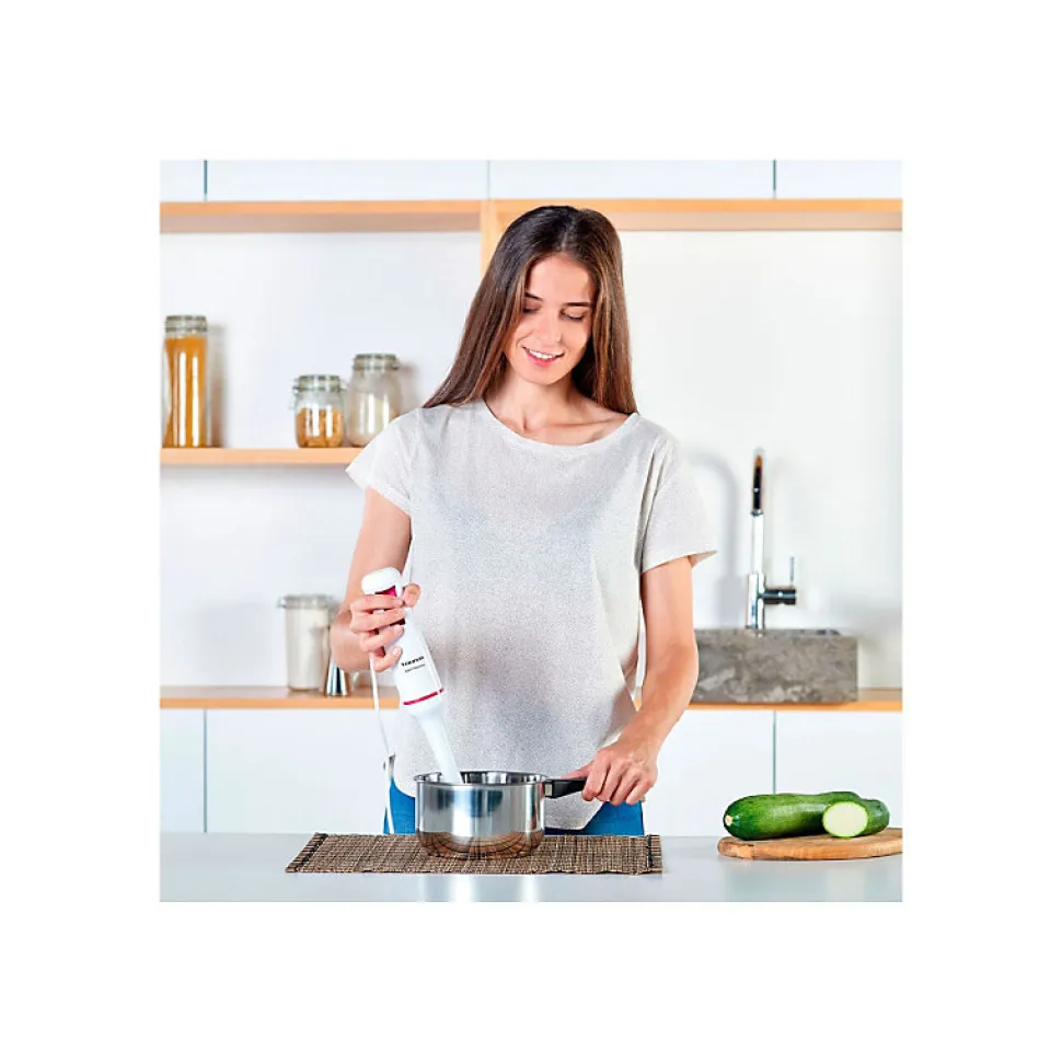 Pied mixeur Taurus Robot 750 Easy