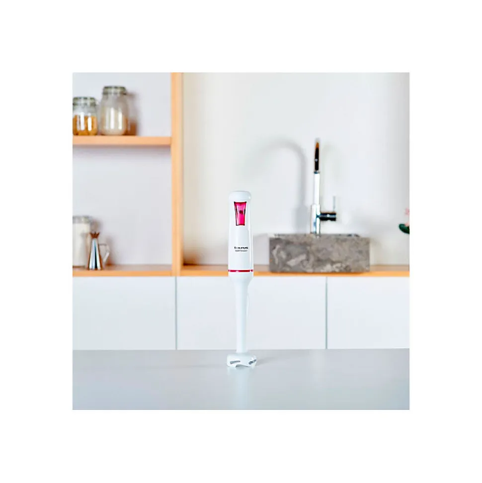 Pied mixeur Taurus Robot 750 Easy