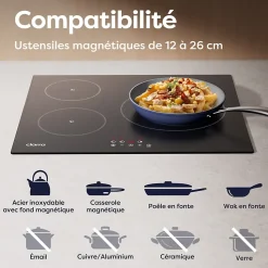 Plaque de cuisson induction 3 foyers 5600W L59xP52cm minuterie individuelle 9 niveaux de puissance Ciarra CD3BIH-F