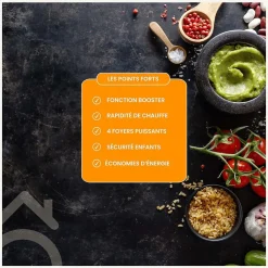 PLAQUE DE CUISSON INDUCTION 4 FOYERS - 6800 W - MINUTEUR - BELDEKO