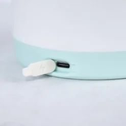 Presse agrume électrique portable avec chargeur USB - LOUPIO