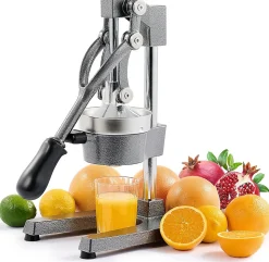 Presse-agrumes manuel robuste Gris