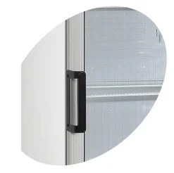 Réfrigérateur à Boissons FS1220 - TEFCOLD