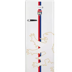 Réfrigérateur 1 porte 55cm 218l Fagor FSPR194OLW