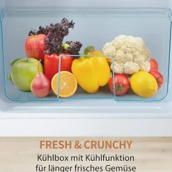 Réfrigérateur combiné 92L, double porte, congélateur 28L, moins 27 degrés à 13C, noir