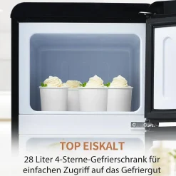 Réfrigérateur combiné 92L, double porte, congélateur 28L, moins 27 degrés à 13C, noir