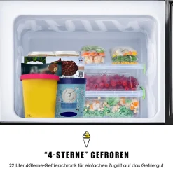 Réfrigérateur combiné 60L, double porte, congélateur 22L, classe E, 27C à 13C, noir