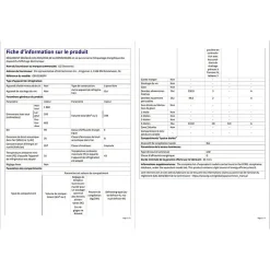 Réfrigérateur congélateur en bas Lg GBV3100EPY