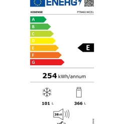 Réfrigérateur congélateur en haut Hisense FTN461WCE1