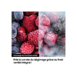 Réfrigérateur multi portes Samsung Refrigerateur multi portes Samsung Family Hub RF65DG9H0ESR