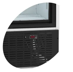 Réfrigérateur Vitré FS1002S - TEFCOLD
