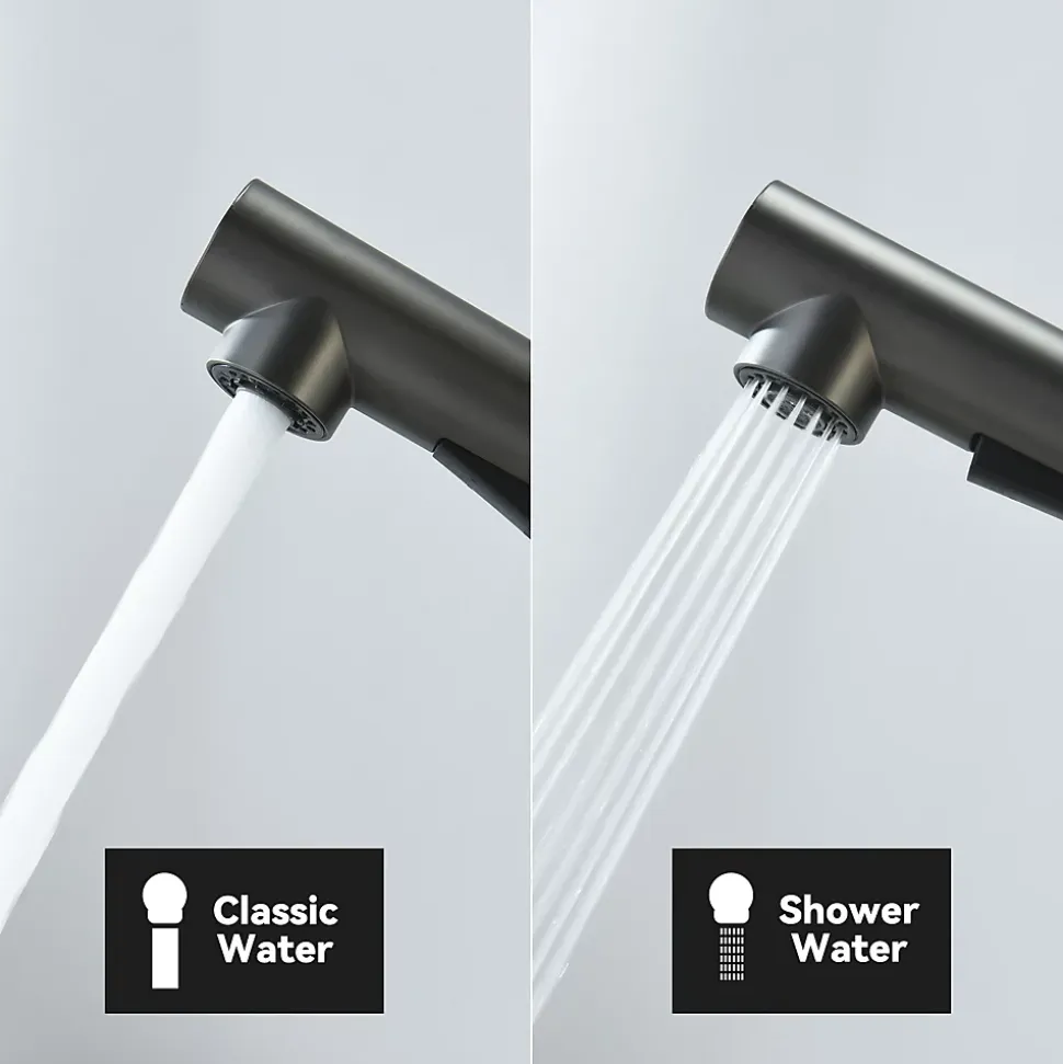 Robinet Cuisine avec Douchette Extractible, Mitigeur de Cuisine en Inox Mitigeur d'Évier avec 2 Modes de Sortie D'eau