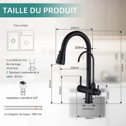 Robinet de Cuisine à 3 Voies Mitigeur de Cuisine Noir avec Douchette Extractible Mitigeur Evier Cuisine Eau Potable