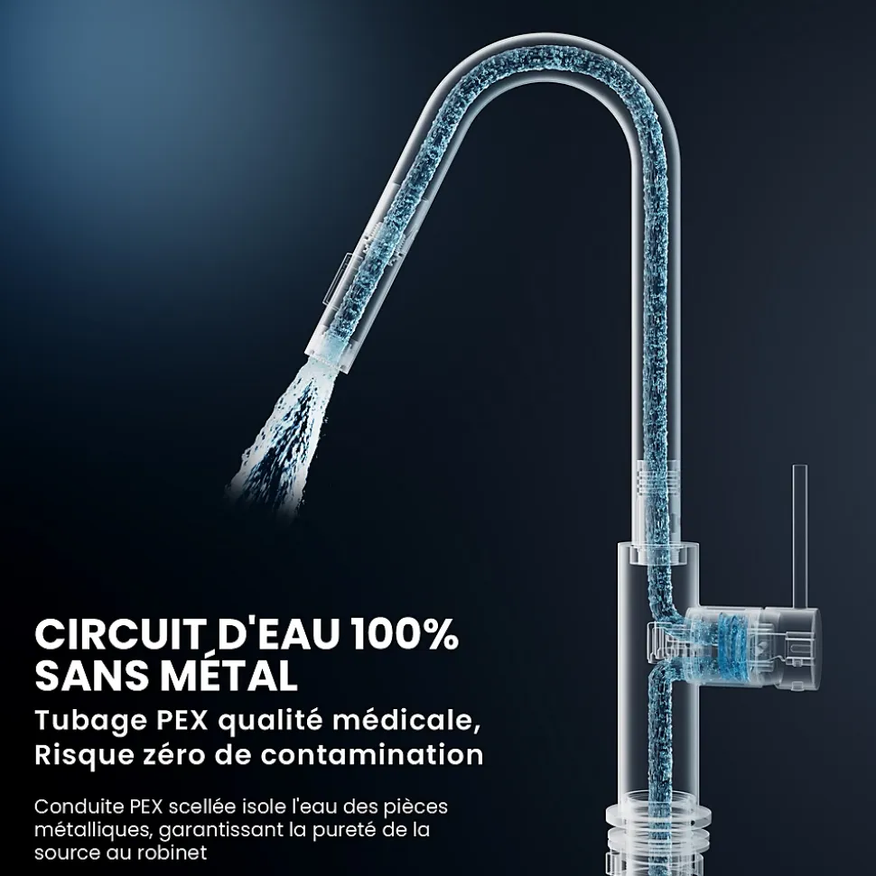 Robinet de Cuisine avec Douchette Extractible, Mitigeur Cuisine en Inox Mitigeur d'Évier avec 2 Modes de Sortie D'eau, Brossé