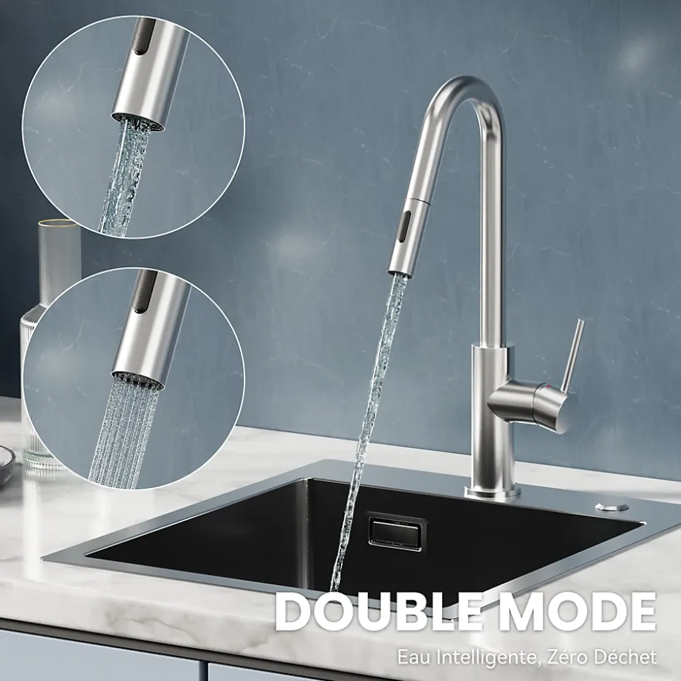 Robinet de Cuisine avec Douchette Extractible, Mitigeur Cuisine en Inox Mitigeur d'Évier avec 2 Modes de Sortie D'eau, Brossé