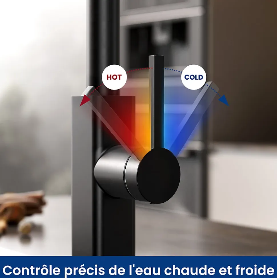 Robinet de Cuisine avec Douchette Extractible, CECIPA Max Mitigeur Cuisine en Inox Mitigeur d'Évier avec 2 Modes de Sortie D'eau