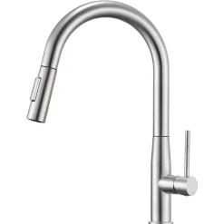 Robinet de Cuisine avec Douchette Extractible, Mitigeur Cuisine en Inox Mitigeur d'Évier avec 2 Modes de Sortie D'eau, Brossé