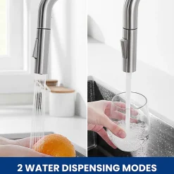 Robinet de Cuisine avec Douchette Extractible, Mitigeur Cuisine en Inox Mitigeur d'Évier avec 2 Modes de Sortie D'eau, Brossé