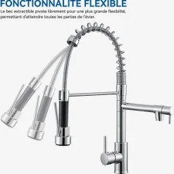 Robinet de Cuisine avec Douchette Extractible, Mitigeur Cuisine en Inox avec 2 Modes de Sortie D'eau