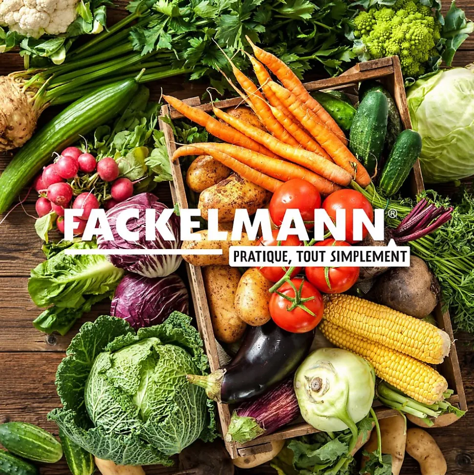 Râpe à légumes 5 grilles inox 19 cm Fackelmann