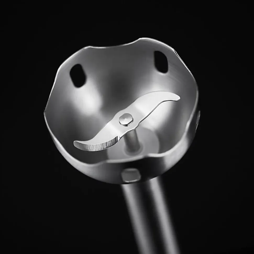 RUSSELL HOBBS 24690-56 Mixeur Plongeant Desire, Bol 500ml Inclus, Lames Robustes, 2 Vitesses, Anti-Eclaboussure