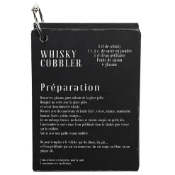 Set à cocktail 5 accessoires et 50 recettes