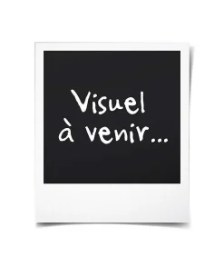 Table de cuisson à induction 60cm 3 feux 6200w noir Amica AI3531